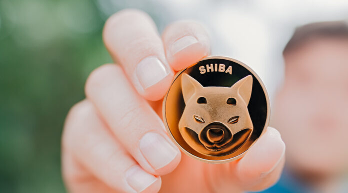 Predicción del precio de SHIB: esto es lo que podría desencadenar la recuperación en Shiba Inu