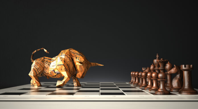 La actividad de la billetera Bitcoin alcanza un máximo de 5 meses, ¿seguirá el precio de BTC?