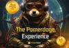 Radar de inversores: Shiba Inu (SHIB), Cardano (ADA) y Pomerdoge (POMD) entre los tres tokens principales a tener en cuenta en septiembre