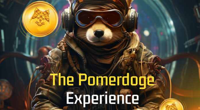 Radar de inversores: Shiba Inu (SHIB), Cardano (ADA) y Pomerdoge (POMD) entre los tres tokens principales a tener en cuenta en septiembre