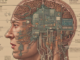 Pruebas de implantes cerebrales: Neuralink comienza a reclutar para ensayos de lectura del pensamiento humano