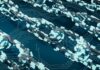 Análisis de tendencias en capital de riesgo de criptomonedas y blockchain: Galaxy Digital Research