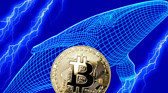 Las ballenas Bitcoin y las ballenas Ethereum no son lo mismo: Glassnode