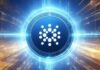 Las direcciones de las ballenas Cardano continúan cayendo, ¿qué significa esto para el precio de la ADA?