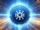 Las direcciones de las ballenas Cardano continúan cayendo, ¿qué significa esto para el precio de la ADA?