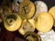7 nuevos lanzamientos de criptomonedas para observar