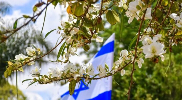 ‘Crypto Aid Israel’ surge para apoyar a los ciudadanos afectados por la guerra a través de donaciones digitales