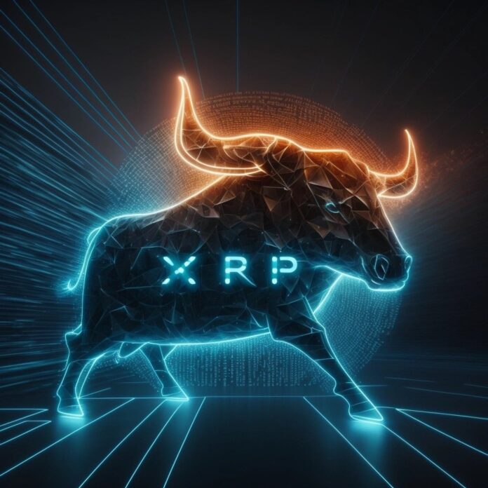 XRP-bull.jpeg