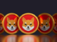 ¿Nuevo token basado en SHIB en camino? Miembro del equipo Shiba Inu comparte una actualización importante