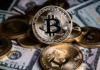 Bitcoin: ¿Quién dictará el precio de BTC: los poseedores a corto plazo o las ballenas?