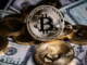 Bitcoin: ¿Quién dictará el precio de BTC: los poseedores a corto plazo o las ballenas?