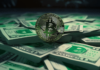 Bitcoin: ¿Qué le deparan los próximos 2 años a BTC?