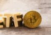 ¿Los Bitcoiners quieren siquiera un ETF?