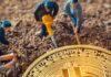 Bitcoin Miner Iris Energy aumenta un 9% a medida que aumenta la capacidad minera antes de la reducción a la mitad de Bitcoin