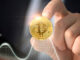 Bitcoin se encuentra en la primera fase del mercado alcista, dice analista