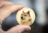 ¿Han superado los comerciantes a Dogecoin? Las transacciones se desploman un 98% desde junio