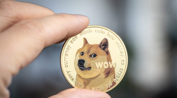 ¿Han superado los comerciantes a Dogecoin? Las transacciones se desploman un 98% desde junio