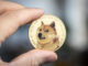 ¿Han superado los comerciantes a Dogecoin? Las transacciones se desploman un 98% desde junio