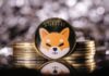 Acumulación de Shiba Inu: no creerás cuánto han comprado las ballenas SHIB