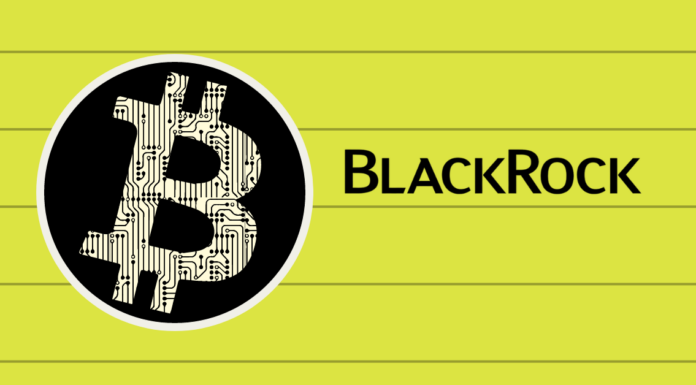 Observatorio del mercado de criptomonedas: IBIT de BlackRock enfrenta salidas de capital en medio de la incertidumbre económica