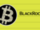 La presentación de BlackRock revela desafíos en el ETF de Bitcoin debido a la volatilidad de las monedas estables