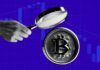 El 80% de los tenedores siguen siendo rentables a pesar de la caída del Bitcoin por debajo de los 35.000 dólares: ¿podría ser esta una oportunidad de acumulación?