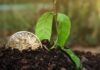 Esta semana en Crypto Twitter: ¿Primavera para Degens?