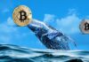 Se sospecha manipulación del mercado de Bitcoin mientras una entidad única flexiona el control cerca de $ 35 mil en medio de la consolidación