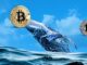 Se sospecha manipulación del mercado de Bitcoin mientras una entidad única flexiona el control cerca de $ 35 mil en medio de la consolidación