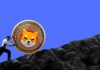 ¡El creciente índice MVRV de Shiba Inu indica una próxima corrida alcista! ¿El precio de SHIB satisfará la demanda de los compradores?