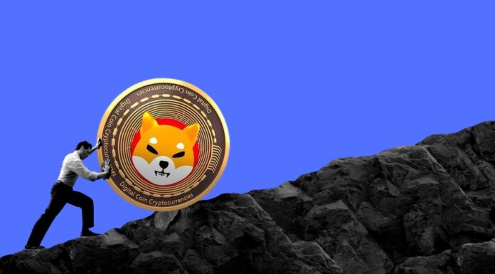 ¡El Netflow de Shiba Inu aumenta a medida que se recupera su precio! Aquí está el siguiente nivel para el precio de SHIB