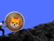 ¡El Netflow de Shiba Inu aumenta a medida que se recupera su precio! Aquí está el siguiente nivel para el precio de SHIB