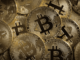 ¿Bitcoin a 40.000 dólares? Los precios de las criptomonedas aumentan a medida que el token minero BTC recauda $ 3,1 millones