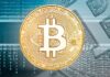 Factores que impulsarán al Bitcoin y las criptomonedas en 2024, según Hashdex
