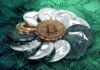 Las 3 principales criptomonedas infravaloradas para comprar: LDO, ATOM, NUGX