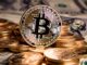 Experto dice que el actual ciclo alcista de Bitcoin será mayor que los anteriores