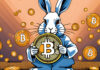 Cathie Wood hace una audaz predicción del precio de Bitcoin de 600.000 dólares; Ethereum supera los 2.000 dólares; Everlodge podría aumentar 30 veces