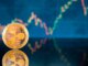 Predicción del precio de XRP para el cuarto trimestre de 2023: Solana terminará el año en lo más alto, InQubeta recauda la increíble cantidad de $ 4,1 millones en preventa