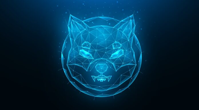 Noticias de Shiba Inu: ShibaSwap 2.0 y Pawzaar lanzan nuevas funciones