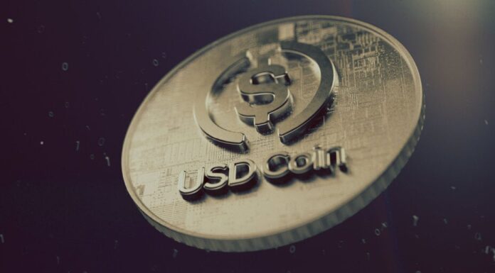 Stablecoin Behemoth Circle considera IPO 2024: Informe