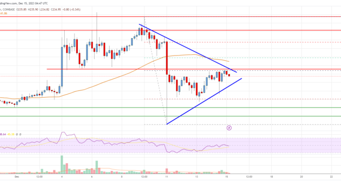 Análisis de Bitcoin Cash: los alcistas apuntan a un nuevo repunte a $255