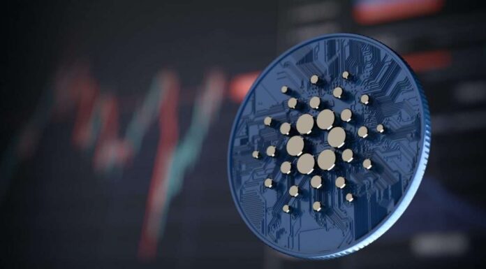 ADA en el punto de mira: los inversores de peso pesado se amontonan en Cardano, ¿qué sigue?