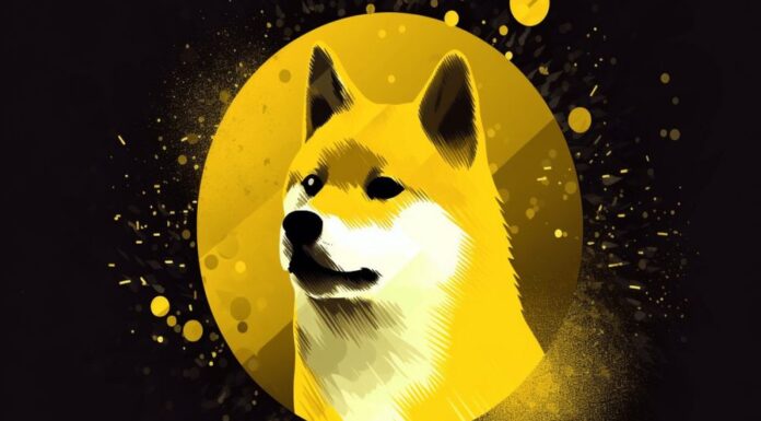 ¿HODLing DOGE es una mejor opción que otras monedas meme?