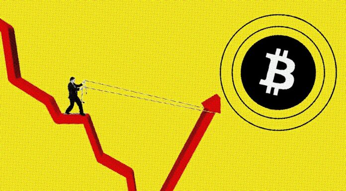 ¡Los compradores de Bitcoin continúan obteniendo ganancias cercanas a los $39,000! ¿El precio de BTC goza de buena salud?