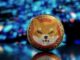 Aumento de la actividad de Shibarium: crecimiento de la billetera y tasa de consumo de SHIB elevada: ¿señal alcista para Shiba Inu?