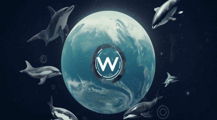 Las ballenas Worldcoin mantienen a WLD en la imagen: así es como