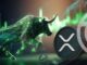 Un analista sitúa a XRP como la moneda principal para el Bull Run 2024-2025