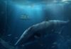 ORDI cae un 15% mientras las ballenas venden tokens en medio de estas preocupaciones