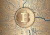 Navegando por el viaje salvaje de Bitcoin: el CEO de Marathon Digital revela su visión estratégica