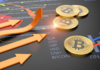 Snek y Bonk, memecoins de Cardano y Solana, muestran resultados increíbles